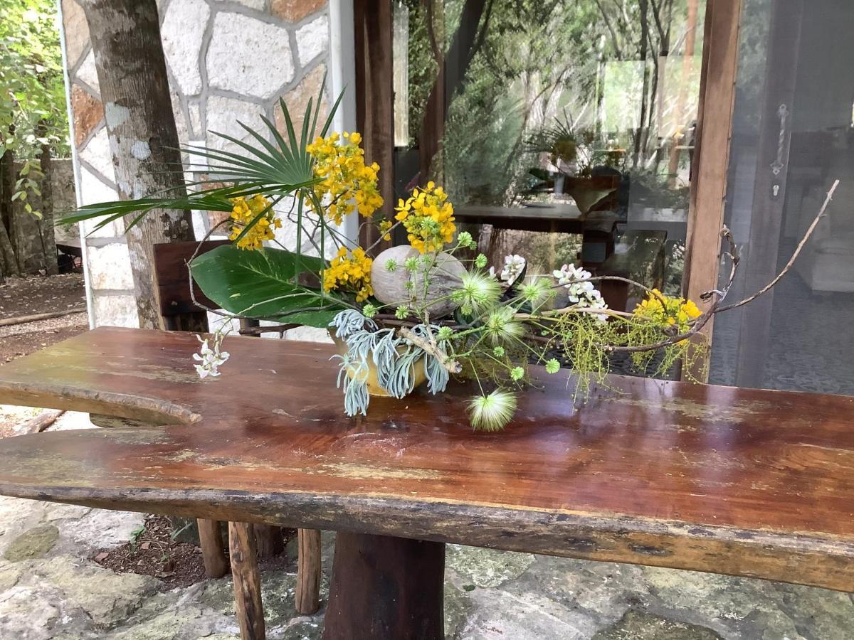 Bed and Breakfast Escarabajo Rojo Tulum Zewnętrze zdjęcie
