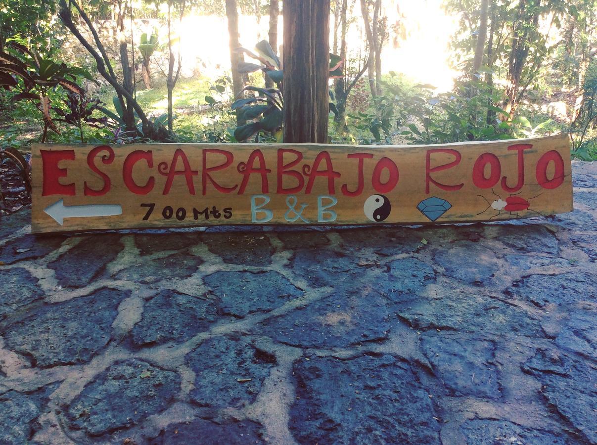 Bed and Breakfast Escarabajo Rojo Tulum Zewnętrze zdjęcie