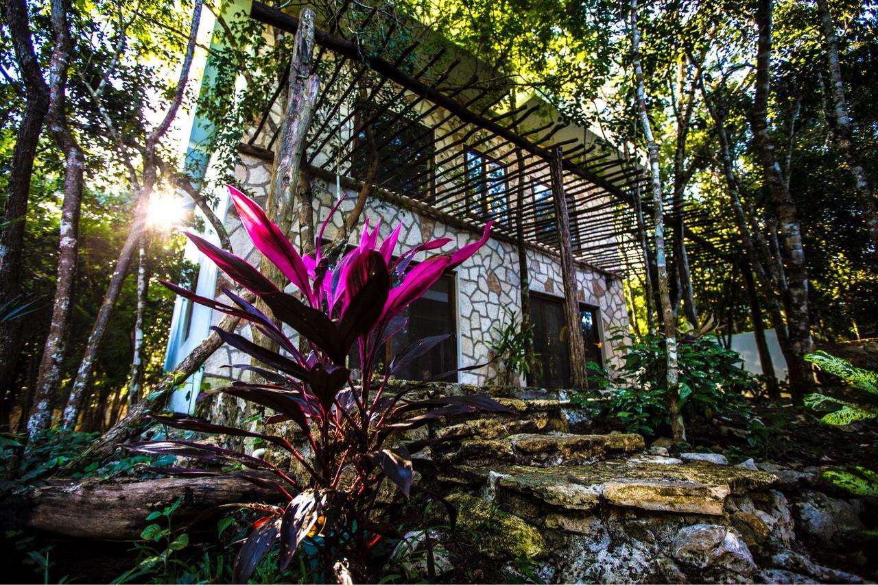 Bed and Breakfast Escarabajo Rojo Tulum Zewnętrze zdjęcie