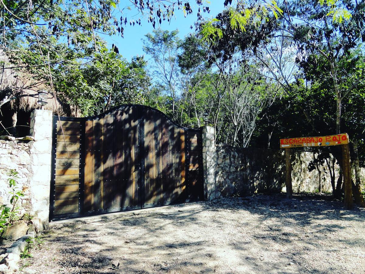 Bed and Breakfast Escarabajo Rojo Tulum Zewnętrze zdjęcie