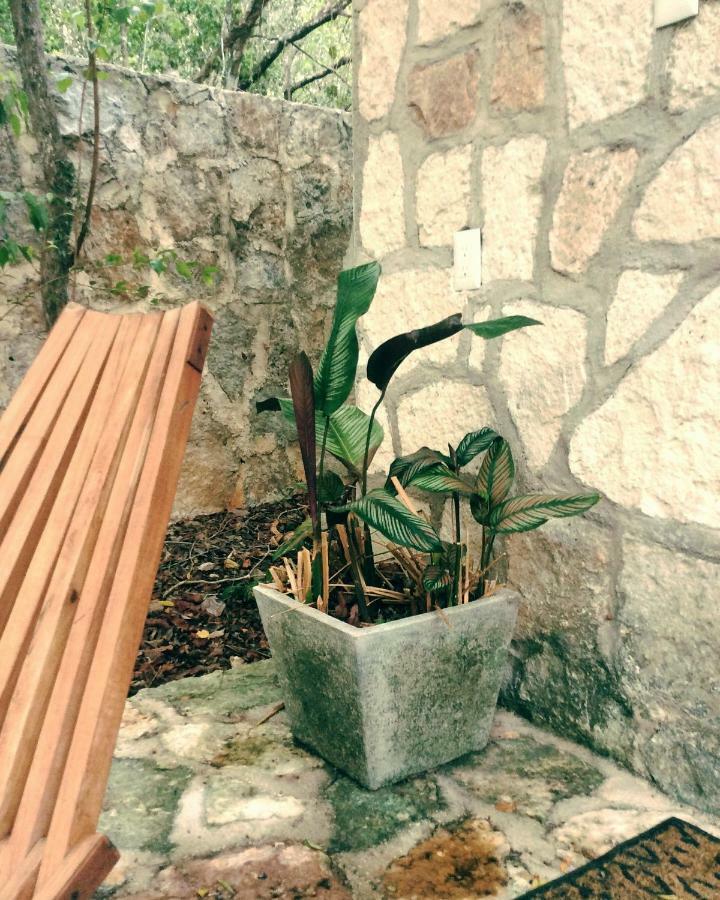 Bed and Breakfast Escarabajo Rojo Tulum Zewnętrze zdjęcie
